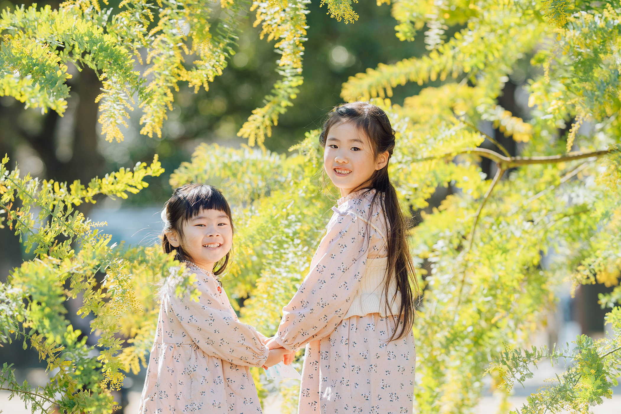 黄緑の木々の中振り返る姉妹