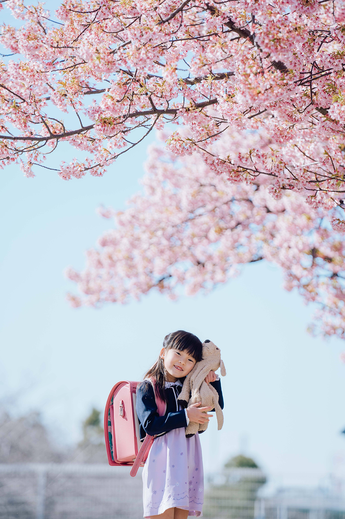 もうすぐ一年生　桜の木の下でランドセルを背負う女の子