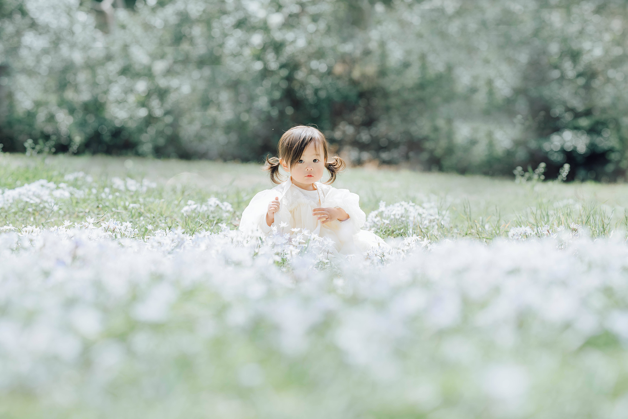 プライベート撮影のイメージ